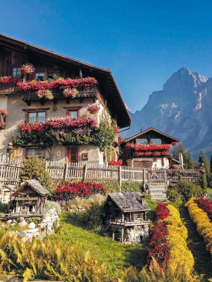 Fiori Cuco B&B San Vito di Cadore